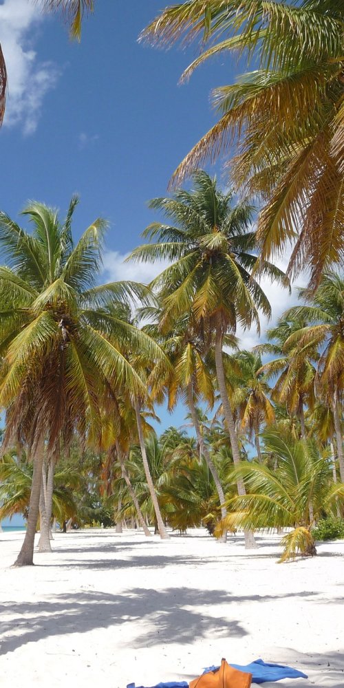 Bayahibe Street Scene
