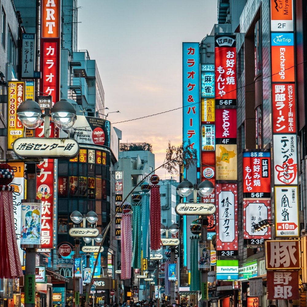 blog