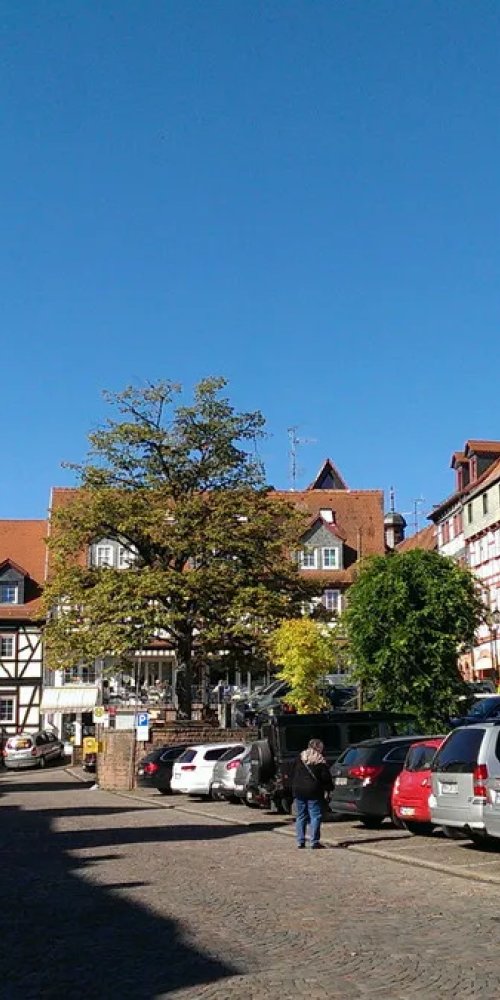 Cycling along Kinzig river, Gelnhausen