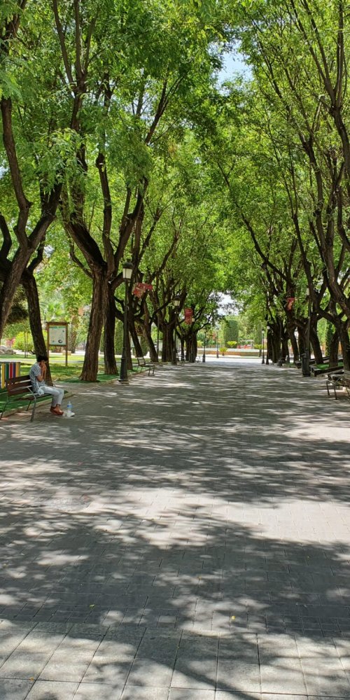 Cycling in Molina de Segura