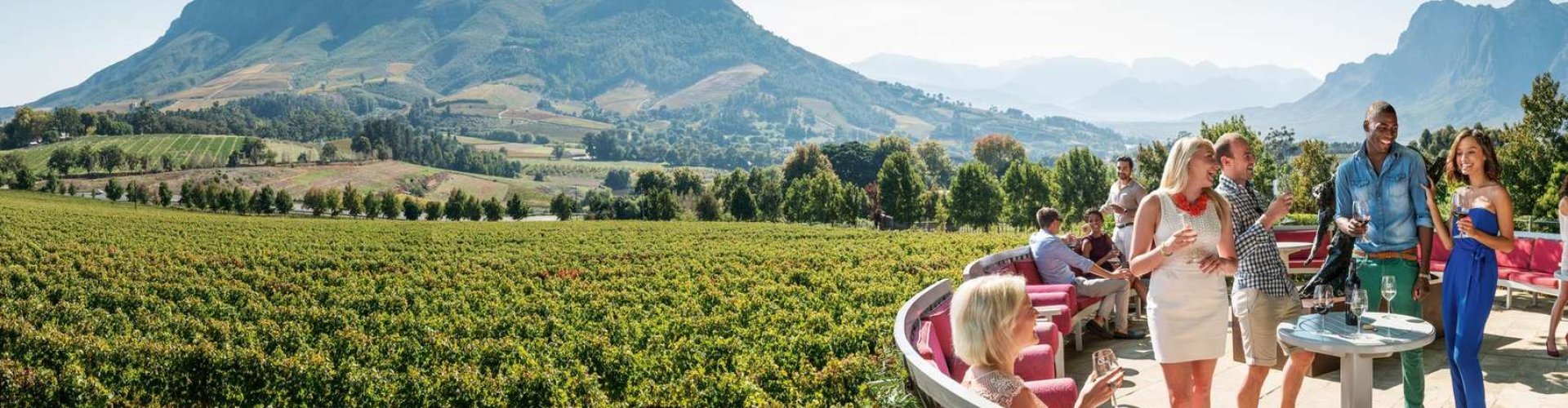 Stellenbosch walking tour scene