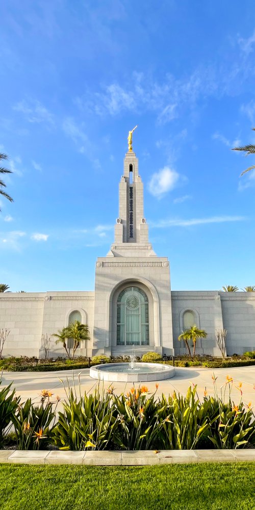 Redlands local street view