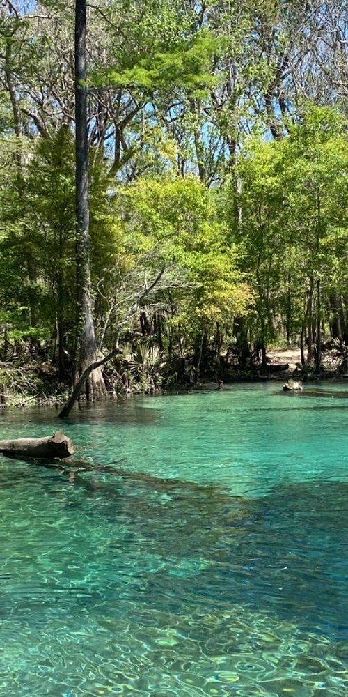 Bike rental and boat tours in Niceville, FL, US