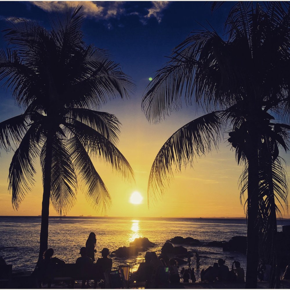 blog