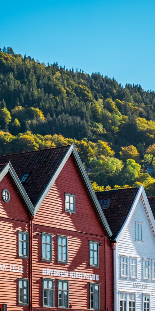 Bergen cityscape from height