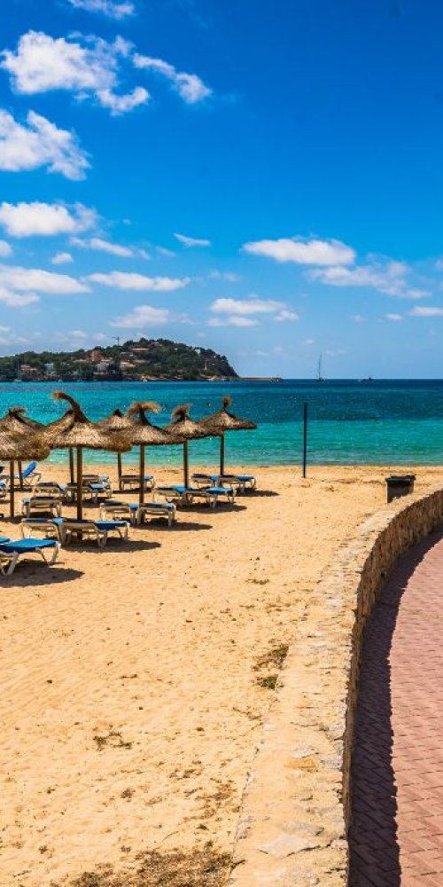 Santa Ponsa Nature and Transport Options