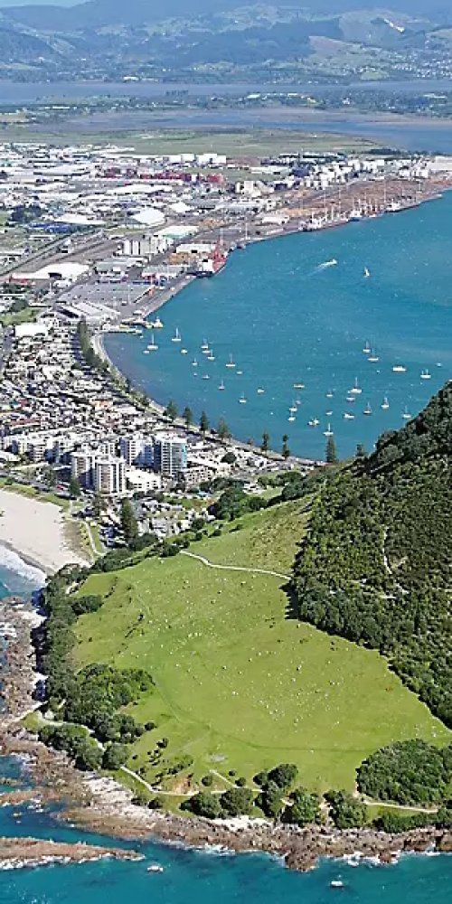 Cyclist riding in Tauranga