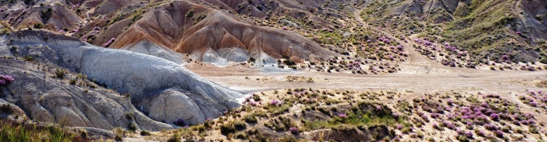Molina de Segura, ES