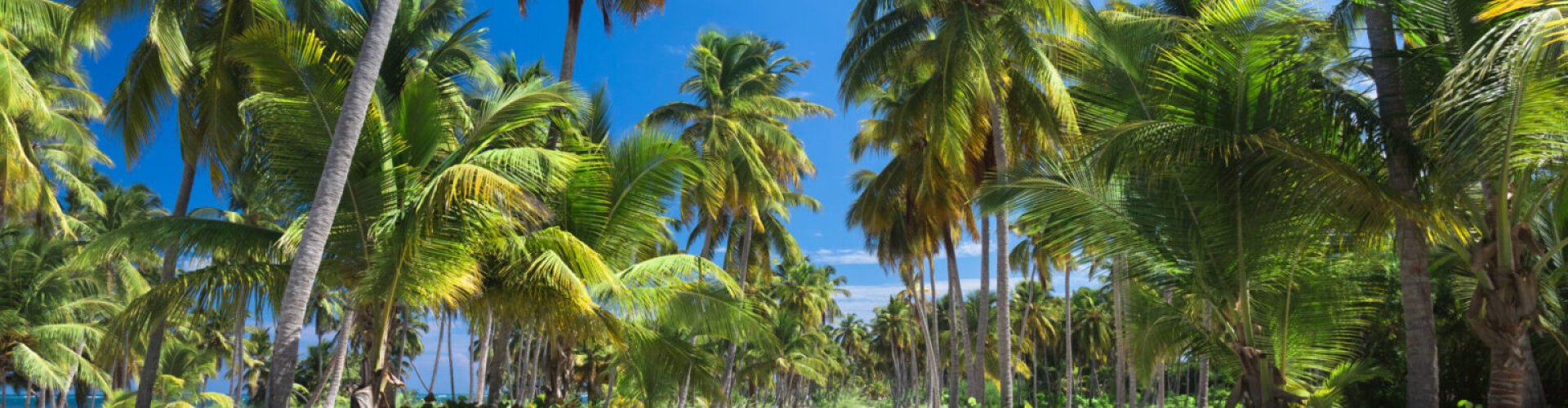 Sunset view in Sosúa, DO