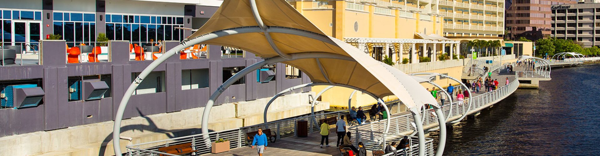 Tampa cityscape at sunset