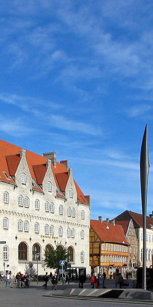 Cycling and Boat tour in Aalborg