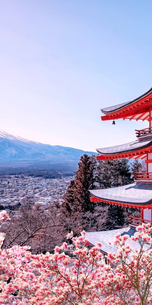Tokyo bike lanes and cityscape