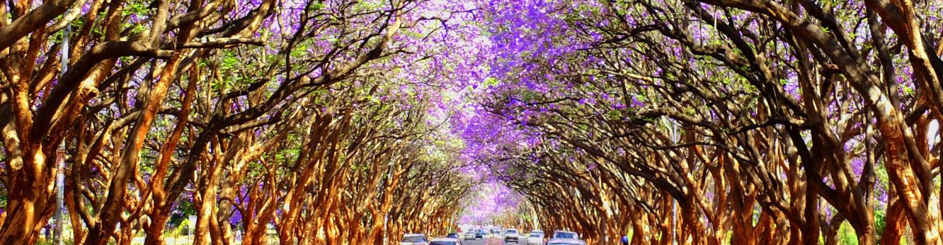 Harare, ZW